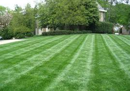 Child development centers in columbus vary in size as well as in scope. Premier Lawn Care Llc Home Facebook