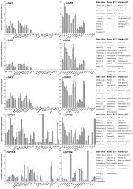 Published atlases of the rat brain typically lack the underlying. Expression Profile Of The Entire Family Of Adhesion G Protein Coupled Receptors In Mouse And Rat Bmc Neuroscience Full Text