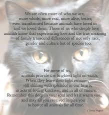  In Memory Of My Precious Ebony 2 21 2017 And Like Omg Get Some Yourself Some Pawtastic Adorable Cat Pet Grief Cat Loss Pet Loss Grief