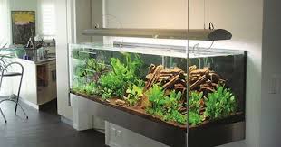 Pin By Murat Cinar On Aquariums Aquascape Fish Tank Terrarium Aquarium Landscape
