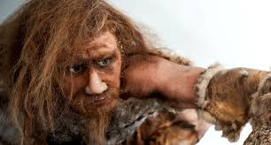 The 'paleo diet' is pseudoscience: This is what our ancestral menu really  looked like