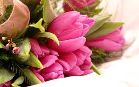 We did not find results for: 3 Most Important Things To Consider While Choosing Flowers As Gift Items Wikie Pedia