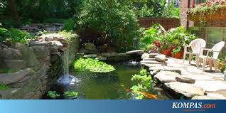 Dengan berkonsultasi bersama jasa konsep rumah, kalian bisa punyai uraian konsep rumah minimalis yang diinginkan dan juga tetap menyesuaikannya dengan budget yang anda. Kolam Ikan Nila Belakang Rumah Infoakuakultur Com