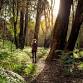 Hevreh Hikes: Bidwell House