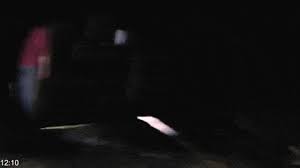 On july 22, 2011, anders behring breivik committed one of the most devastating acts of mass murder by an individual in history. Ooooh Soo Cool Bushido Brown Gif Find On Gifer