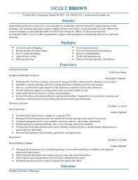 To costumize it, open the file in word and start filling it up with your own. Executive Assistant Cv Template Cv Samples Examples
