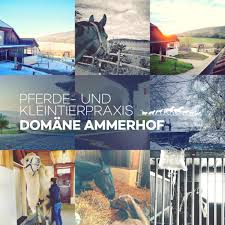 Pferde- und Kleintierpraxis Domäne Ammerhof