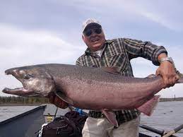 Check spelling or type a new query. Kasilof River King Salmon Fishing Fishing The Kasilof River