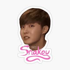 There are more than 3,000 species of snake in the world, and snake. I Hate Snakeu Gifts Merchandise Redbubble