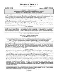 Focus on the skills the board of directors wants. Resume Template Collection Executive Resume Template Word