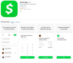 3.cash app verify your identity with otp. 7 Cash App Account Ideas App App Login Check And Balance