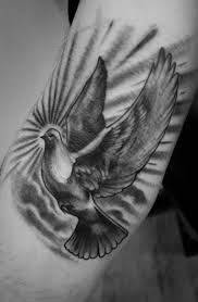 Tauben Tattoo Designs Und Ideen Tattoos Zenideen Tauben Tattoo Tauben Tattoos Tattoo Schwarz