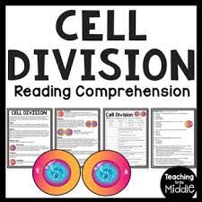 Savesave cell_division_worksheet_answers (1).rtf for later. Cell Division Reading Comprehension Worksheet Mitosis And Meiosis Science