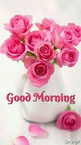 Good Morning Good Morning Flowers Good Morning Good Morning Quotes