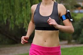 Running Sports Armband Sport Armband Workout Apps Gym Goers