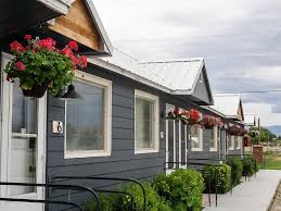 Mystery Murphy and AJ Magro's Wedding Website