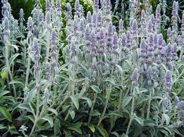 Maybe you would like to learn more about one of these? Marketkonekt Rigoni