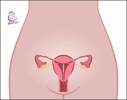 قبل شهر تقريبا وضعت لولب nova t. Ø¹Ù‚Ù„ÙŠ ØªØ¹Ù‚ÙŠØ¯ Ø§Ù„Ø­Ù‚ Ø§ÙØ¶Ù„ Ù†ÙˆØ¹ Ù„ÙˆÙ„Ø¨ Ù„Ù…Ù†Ø¹ Ø§Ù„Ø­Ù…Ù„ Demipanneauboisoccultant Com