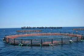China High Quality Deep Sea Reef Solar And Buoy Fish Cage China Sea Net Fish Cage Aquaculture Fish Net Cage