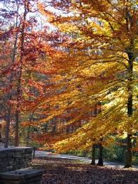 Depending on where you go, you may find swimming pools, climbing walls, paddle boats, mini golf, movie nights and more. 29 Terre Haute Parks Ideas Terre Haute Terre Haute Indiana Indiana