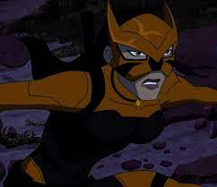 Embrace Your Inner Lunatic Fun Times Guaranteed Cartoon Profile Pics Young Justice Vintage Cartoon