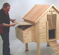 Build a Spacious Hen House for Fresh Eggs Easily