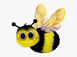 Bumblebees are large, fuzzy, very hairy insects that are black and yellow colored or in some species orange or red. Insect Bumblebee Png Transparent Png Kindpng