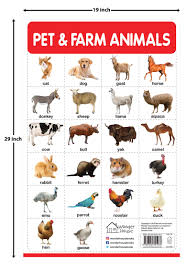 How can i tell what animal is in my wall. Buy Pet And Farm Animals My First Early Learning Wall Chart For Preschool Kindergarten Nursery And Homeschooling 19 Inches X 29 Inches Book Online At Low Prices In India Pet