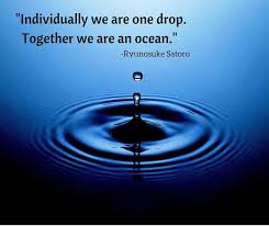 Organize Anything Individually We Are One Drop Together We Are An Ocean Ryunosuke Satoro Quote Networking Facebook