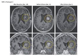 Sydney Dumont (she/her) (@SydneyDDumont)