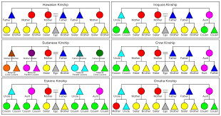 file kinship systems svg wikimedia commons