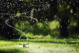 Sprinkler output can vary depending on your system design and water pressure. The Best Time To Water Your Grass How Long To Water Grass