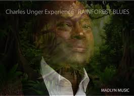 Hire Charles Unger Experience