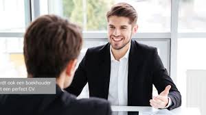 Boekhouder Cv Voorbeeld Download Gratis Perfectcv Nl