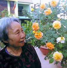 Secure a Galway tree climber to a tree trunk