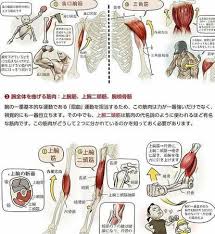 Stonehouse's Anatomy by Seok Jung Hyun | Goodreads