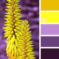 Here are the all shades from dark purple to light. Pin On Color 4