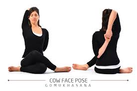 Gomukhasana Cow Face Pose Steps And Benefits