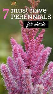 These varieties from proven winners are excellent flowering shrubs for the shade: These Hardy Perennials Are The Toughest On The Block Garden Therapy Shade Perennials Hardy Perennials Shade Garden Plants