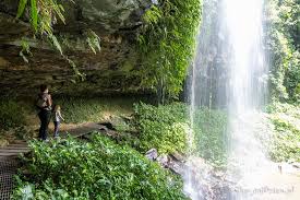 This jigsaw has a quirky shape which absolutely adds to the charm. Australia Landscape Rain Fore Play Jigsaw Puzzle For Free At Puzzle Factory