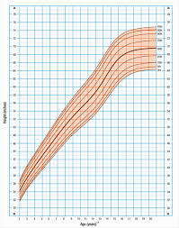 Pubic Hair Growth Chart Www Bedowntowndaytona Com