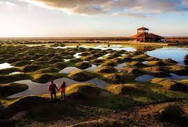 log in or sign up seyahat turizm doga