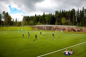 Swedishutan en definition är ju allt vi behöver ett utrymme stort som en fotbollsplan. Fotbollsplaner Och Fotbollshall Ulricehamns Kommun