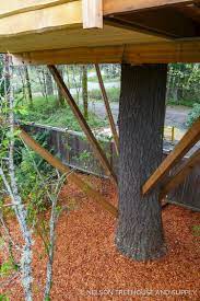 Nelson Treehouse High Noon Saloon Tree House Tree House Diy Building A Treehouse