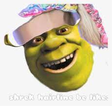 Here you will find the shrek freestyle rap roblox song id, created by the artist freestyle. No Offense But I Find Jojo Siwa Annoying And Horrible Shrek Roblox Decal Hd Png Download Transparent Png Image Pngitem