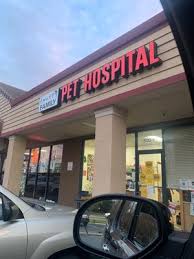 We did not find results for: Family Pet Hospital 24 Photos 82 Reviews Veterinarians 500 Elmira Rd Vacaville Ca Phone Number