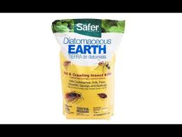Spray over soil and pour down a mound. Safer 51703 Diatomaceous Earth Bed Bug Flea Ant Crawling Insect Killer 4 Lb Overview Youtube