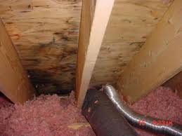 How To Prevent Attic Mold From Growing If It S Not Too Late Already Bathroom Vent Roof Vents Diy Roofing