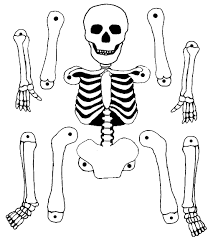 Pantin Squelette Squelette Halloween Creations D Halloween Coloriage Halloween