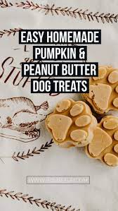 Easy Homemade Pumpkin Peanut Butter Dog Treats House Fur Healthy Dog Treats Homemade Peanut Butter Dog Treats Dog Biscuit Recipes